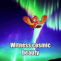 Cardinal Virtue Character GIF by The Cardinal Virtue