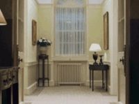 wtf GIF by franceinfo
