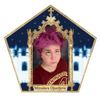Harry Potter Miro Sticker