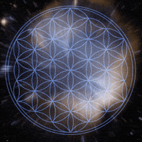 life universe GIF by Psyklon