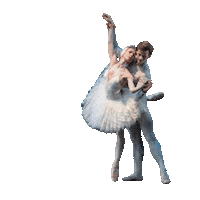 Sticker by QNBallet