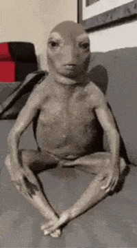 Wink Seriously GIF