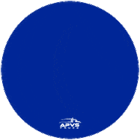 Van Protecao Veicular Sticker by APVS Truck