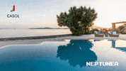 Happy Fun GIF by Casol