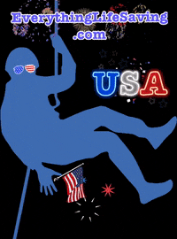 EverythingLifeSaving usa america small business independence day GIF