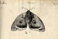 archivesherault nature science france culture GIF