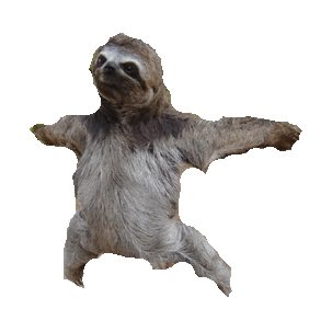 sloth hugs STICKER by imoji