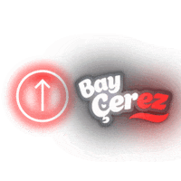 baycerez bayçerez bay cerez Sticker