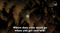 Where Does Your Mind Go When You Go To Bed?