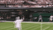 Sport GIF by Tennis Channel