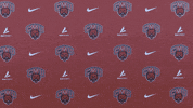 Volleyball Wildcats GIF by CWU Athletics