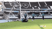 GIF by Botafogo