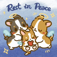 Rest In Peace Puppy GIF by Lazy Corgi