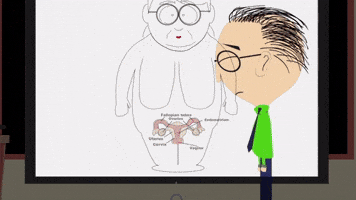 Voluptuous Fallopian Tube