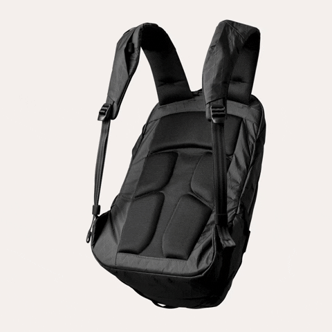 ablecarryco giphyupload able carry ablecarry able carry backpack GIF
