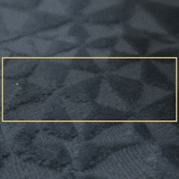 Wondrium promo decor potter adler GIF