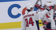 Ice Hockey Sport GIF by NHL