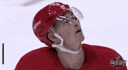 Ice Hockey Reaction GIF by NHL