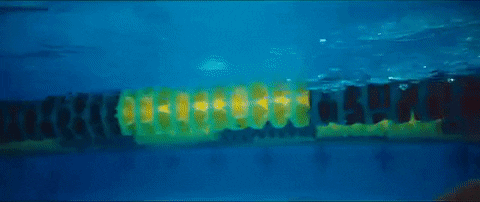 phelps swimming GIF