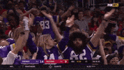Football Sport GIF by Minnesota Vikings