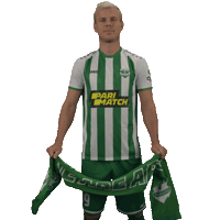 Aleksandr Kokorin Sticker by ARISLIMASSOL