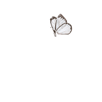 VREDITORAS amor vera botonderecho vreditoras Sticker