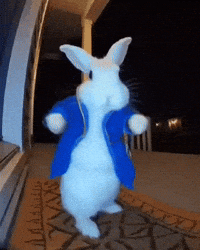 Rabbit GIF