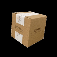 romaluxurygoods box luxury roma subscription GIF