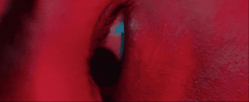 Music Video Dancing GIF by Nohemy