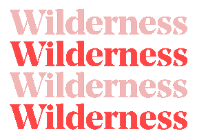 Wilderness19 Sticker by Wilderness Festival