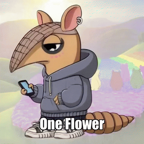 GIF by Chillo Dillo