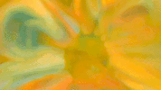 made to love GIF by John Legend