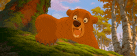brother bear GIF by Disney