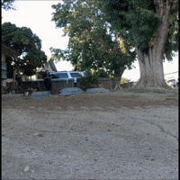 Smashing GIF