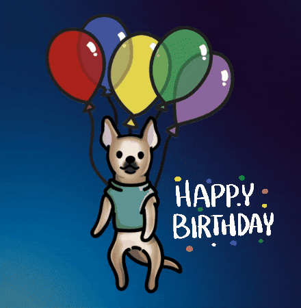 Happy Birthday Chihuahua GIF by TEHZETA