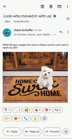 ivnramrez giphyupload GIF