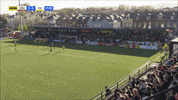 Celebration GIF by Cliftonville Football Club