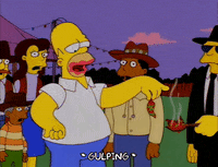 homer simpson GIF