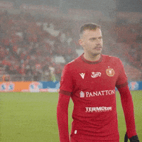 Silva Rts GIF by Widzew Łódź