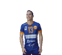 Sport Volleyball Sticker by achvolley