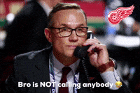 Red Wings GIF