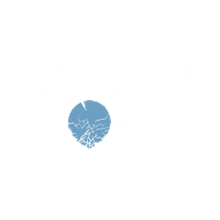 Rai Fallen World Sticker by Bliss Editions