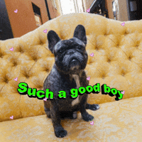 Folke GIF by Per:PR