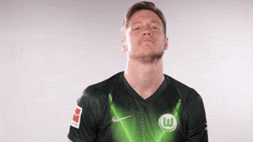 Wout Weghorst Soccer GIF by VfL Wolfsburg