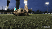 baseball wave GIF by GreenWave