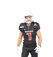 Football Sport Sticker by Les Dauphins de Nice