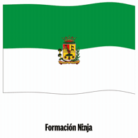 Las Palmas Bandera GIF by Formación Ninja