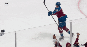 Happy Ice Hockey GIF by NHL