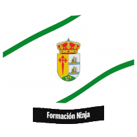 Bandera Cordoba Sticker by Formación Ninja