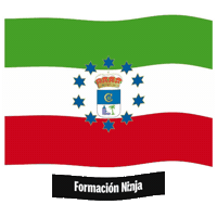 Fuente Palmera Flag Sticker by Formación Ninja